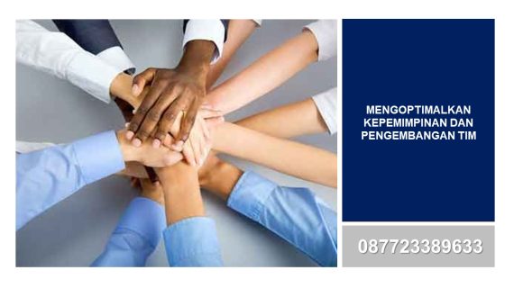 Mengoptimalkan Kepemimpinan dan Pengembangan Tim untuk Pertumbuhan Bisnis